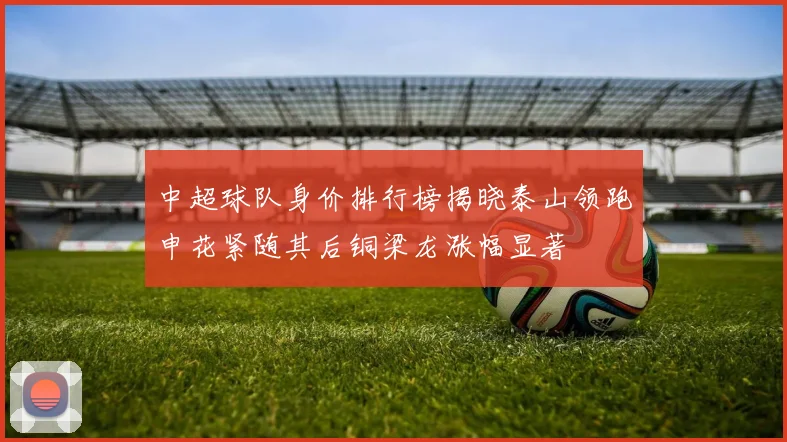 中超球队身价排行榜揭晓泰山领跑申花紧随其后铜梁龙涨幅显著